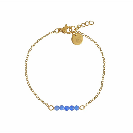 Armbandje Blauwe Aventurijn & Palm Blad - Goud